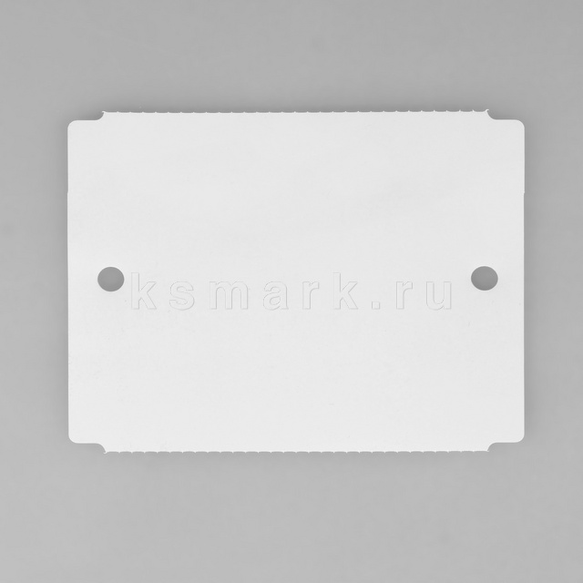 Превью файла label-dm-polymer-100x80-ksmark-ru-22