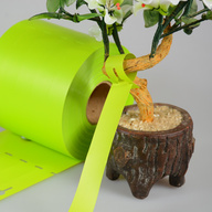 Миниатюра файла birka-petelka-20x254-1000-green-bez-vysechki-ksmark-ru-04 № 75008