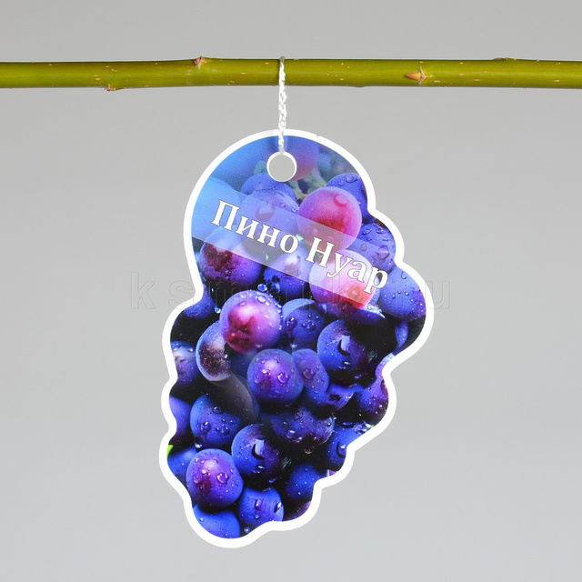 Превью файла tablichka-fig-sadovaya-plastik-ksmark-ru-01