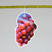 Миниатюра файла tablichka-fig-sadovaya-plastik-ksmark-ru-02