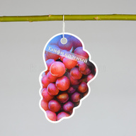 Миниатюра файла tablichka-fig-sadovaya-plastik-ksmark-ru-02 № 75257