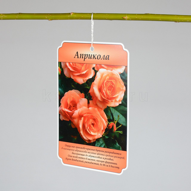 Превью файла birka-sadovaya-navesnaya-plastik-ksmark-ru-03