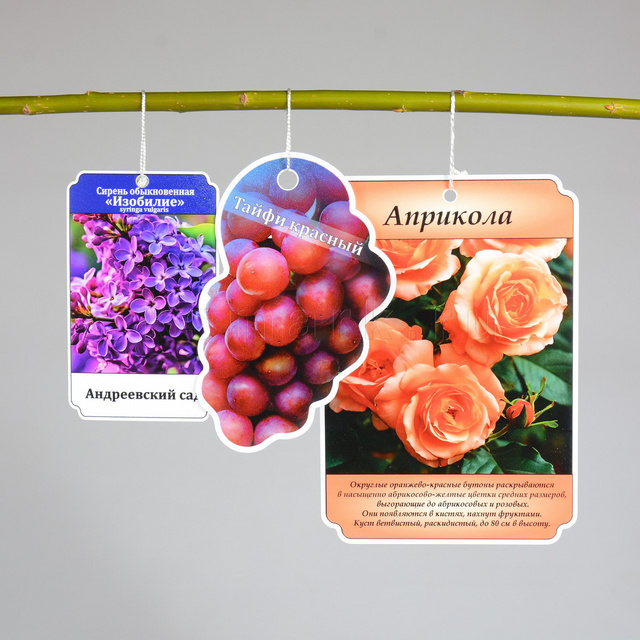 Превью файла birka-sadovaya-navesnaya-plastik-ksmark-ru-06