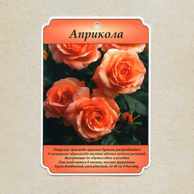 Превью файла birka-sadovaya-navesnaya-plastik-ksmark-ru-08