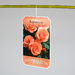 Миниатюра файла birka-sadovaya-navesnaya-plastik-ksmark-ru-03