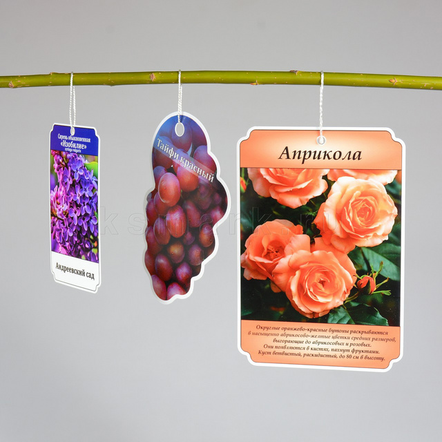 Превью файла birka-sadovaya-navesnaya-plastik-ksmark-ru-07