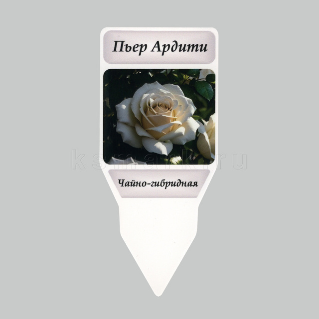 Превью файла sad-kolyshek-plastik-pechat-64x150-ksmark-ru-01